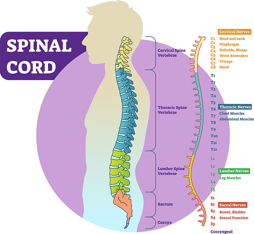 Spinal Cord Injury Rehabilitation Recovery Centers In Virginia