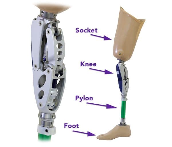 Lower Limb Prosthesis 101: Knowledge is Power - Sheltering Arms Institute